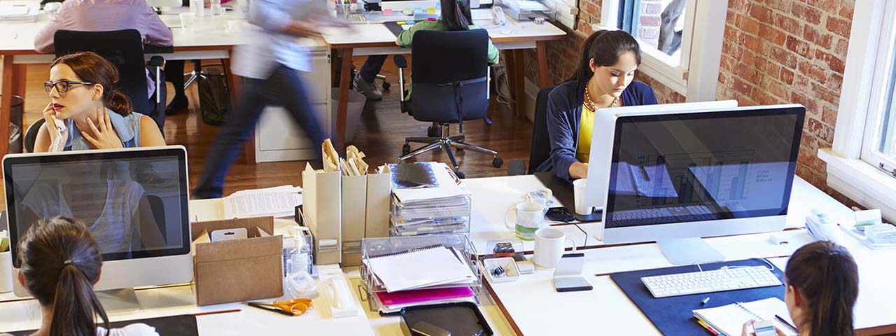 STUDIO FIVE - Web Design Trends 2026: Industry Standards and Best Practices