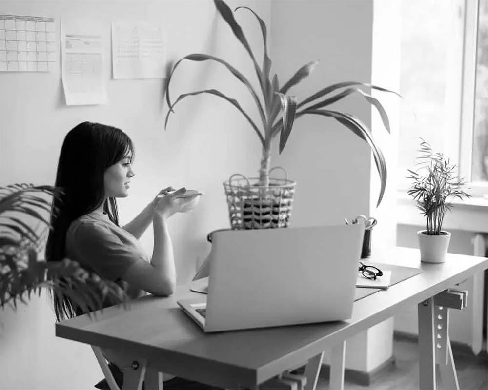 STUDIO FIVE - Common Challenges We Solve for Sustainable Brands