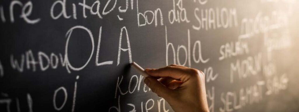 STUDIO FIVE - Selecting the Optimal Translation Plugin for WordPress