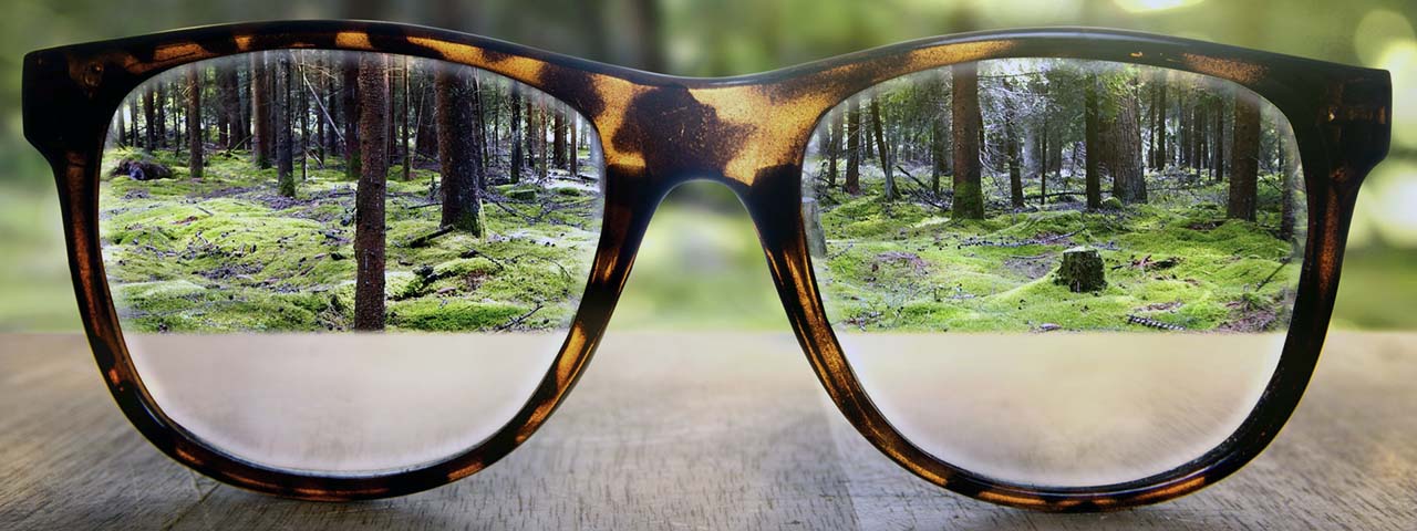 STUDIO FIVE - 2026 Website Checklist: Accessibility