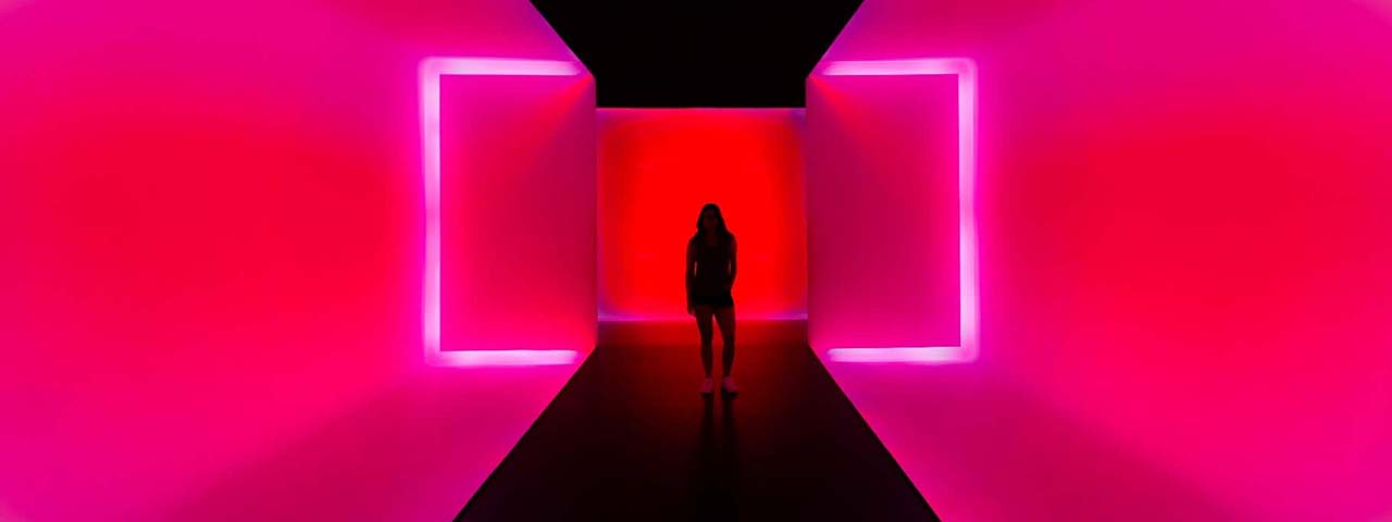 STUDIO FIVE - Future-Proofing Your Website