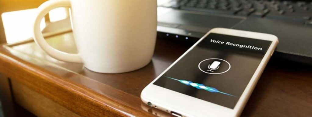 STUDIO FIVE - Essential Tools for Voice Search Success