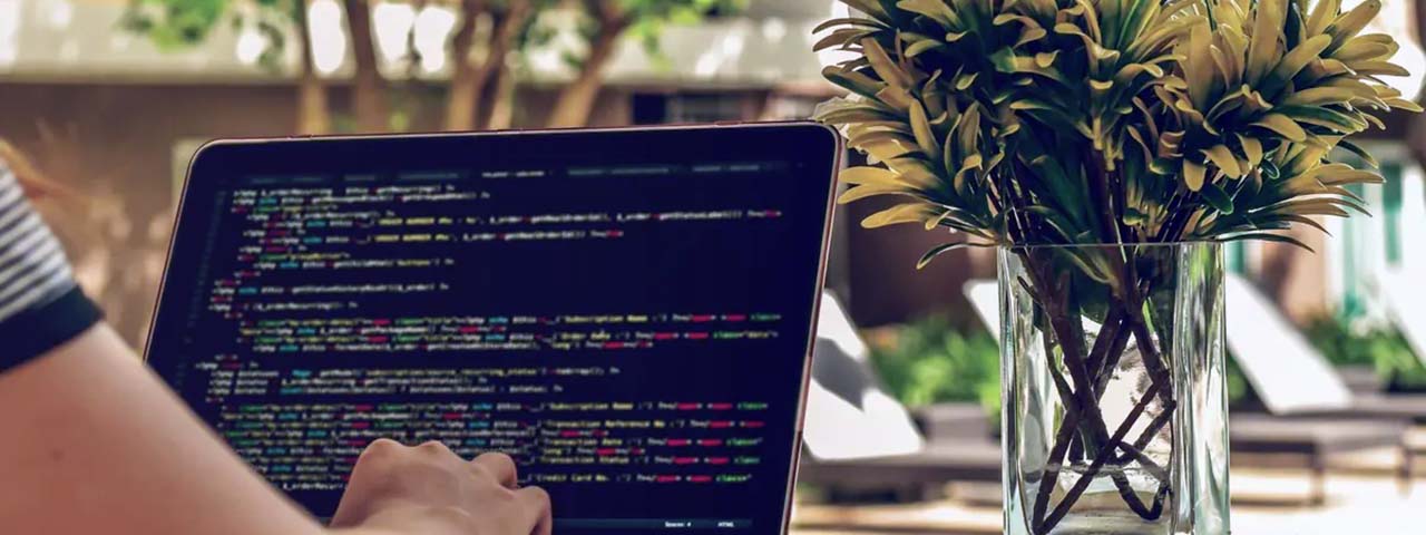 STUDIO FIVE - How to make your website sustainable