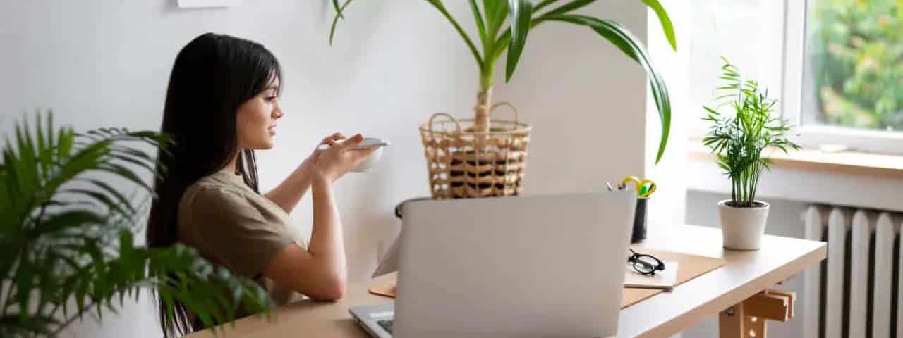 STUDIO FIVE - Benefits of Implementing Sustainable Web Design