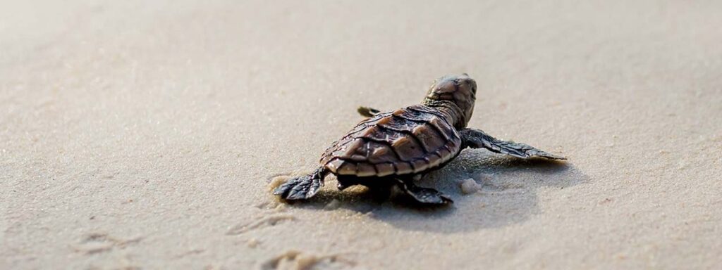 STUDIO FIVE - Startup web design mistakes: slow page load speed