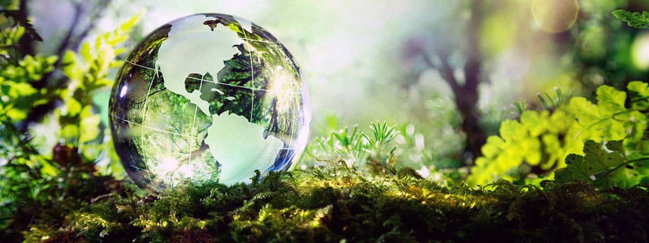 STUDIO FIVE - Sustainable Web Design Best Practices